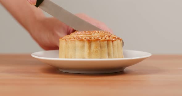 Chinese moon cake for mid autumn festival