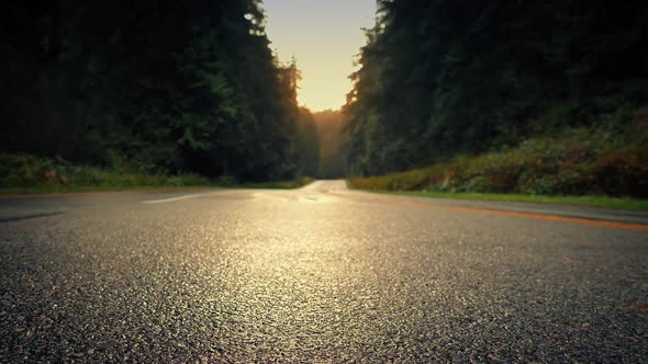 Moving Over Forest Road At Sunset