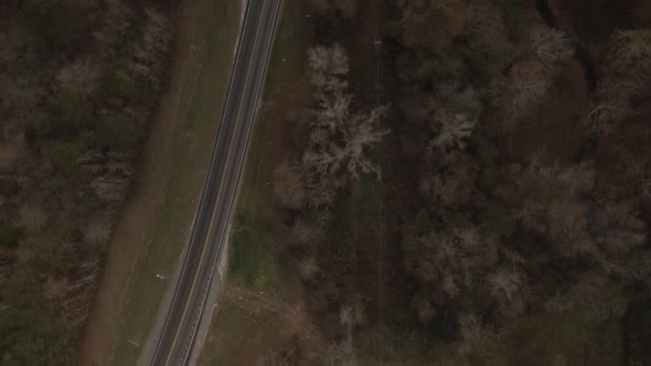 An empty highway road surrounded by trees in late fall.