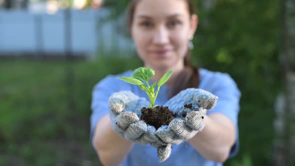 A smiling young woman holds out in her hands a young sprout of a plant