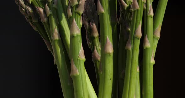 Asparagus,also known as  garden asparagus