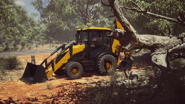 Excavator Tractor in Bush Forest