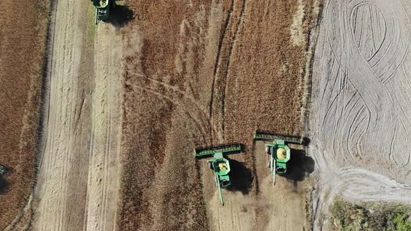 Top View of a Two Combine Harvester Which Works in the Field and Mows Wheat