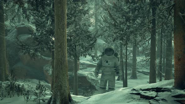 Astronaut Exploring Forest in Snow alt