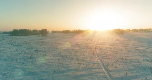 Aerial Drone View of Cold Winter Landscape with Arctic Field Trees Covered with Frost Snow and