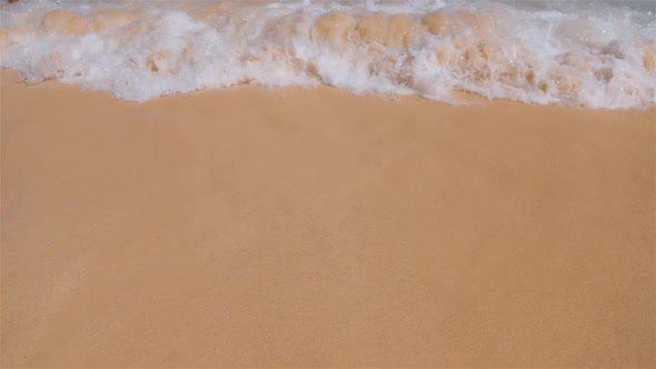 Wavy Tropical Beach in Domanicain Republic