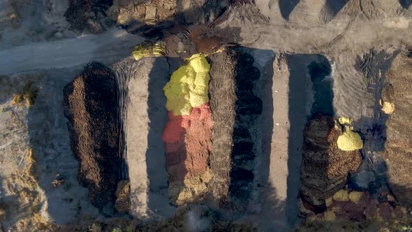 Aerial top down close up of orange shells discarded in a compost area surrounded by plantations in a