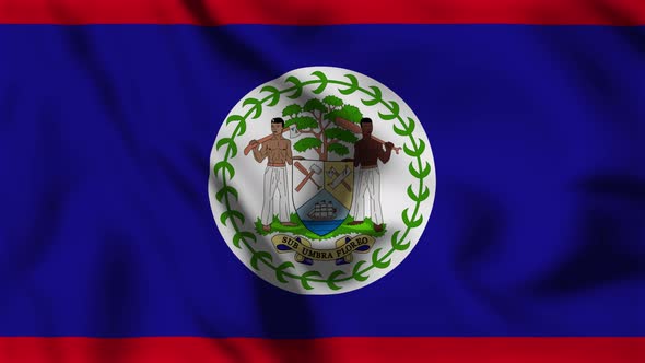 Belize Flag Animation Loop Background