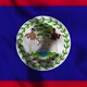 Belize Flag Animation Loop Background - VideoHive Item for Sale