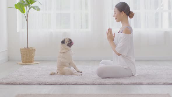Calm of Beautiful Asian woman practice Breathing yoga lotus pose with cute dog pug breed