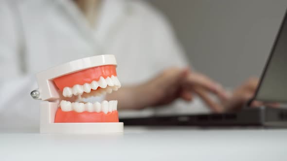 Dentist sitting at table with jaw samples tooth model and working on laptop.