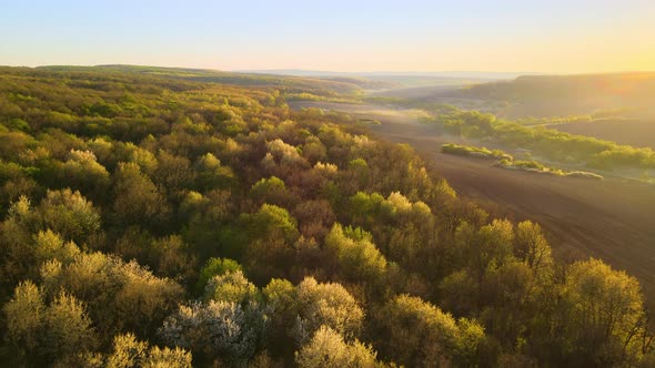 Aerial View of Woodland with Fresh Green Trees and Agricultural Arable Fields in Early Spring at