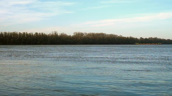 Panoramic slow-motion cinematic footage of the natural wildlife on the Danube river.