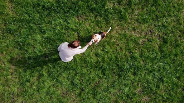 Top View Girl Teach Command with Dog Beagle at Grass Outdoors in a Green Park