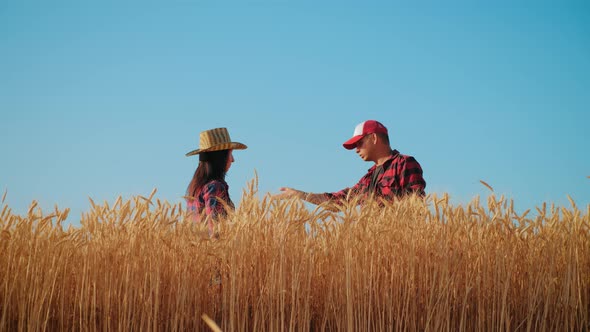 Two Farmers Talking in a Wheat Field Against Blue Sky. Team Farmers Stand in a Wheat Field
