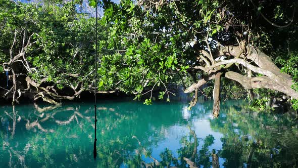 The Blue Lagoon, Port Vila, Efate, Vanuatu