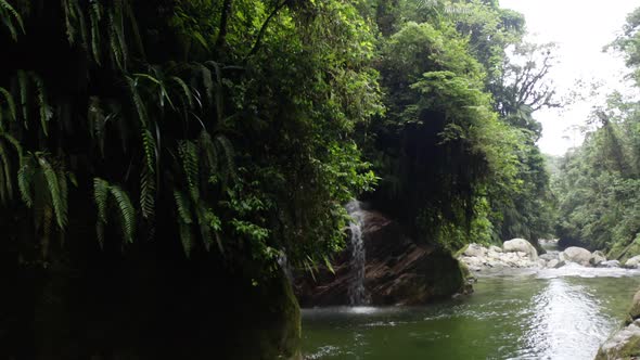 Flying along a small wall covered in green ferns towards a natural waterfall