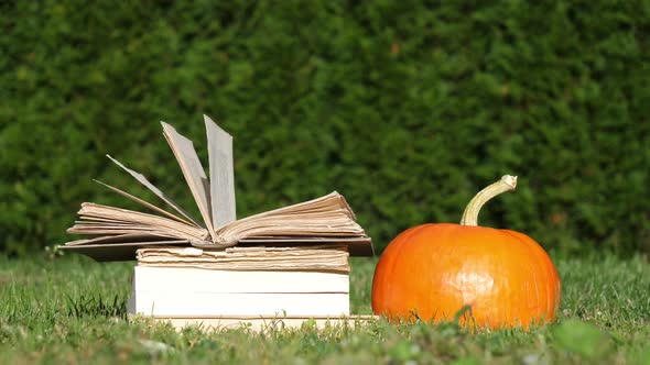 pumpkin and books are on a green grass in a garden