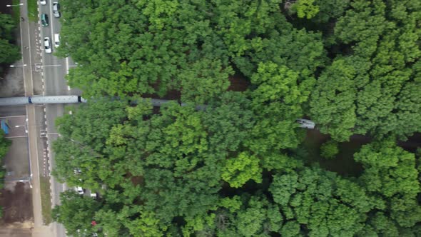 Top Aerial View of a Narrow Gauge Train Moving Through a Beautiful Summer Green Forest