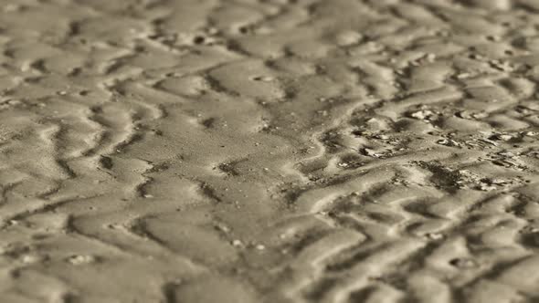 Lines in the Sand of a Beach