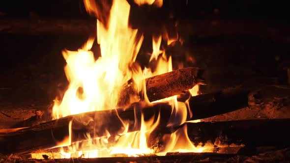 Bonfire Burning at Night in Slow Motion. Flames of Campfire at Nature