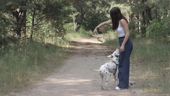 Girl Walking Her Dogs