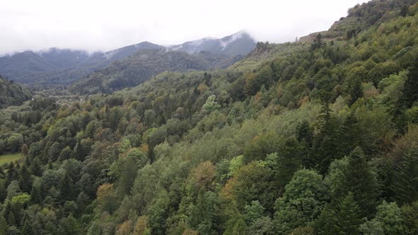 Aerial View of the Carpathian Mountains in Autumn. Ukraine