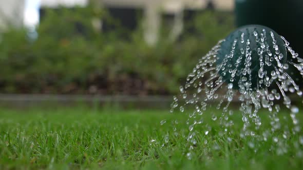 Watering in the Garden 33