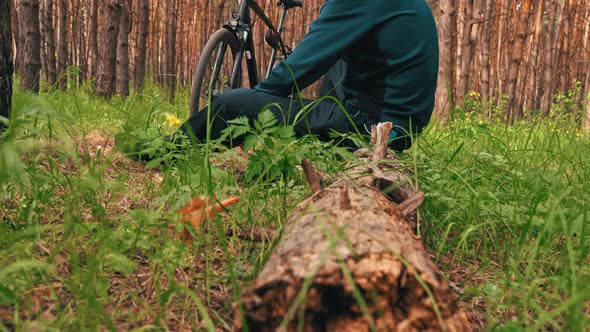 Male Cyclist Sits on a Log in the Forest and Enjoys Nature