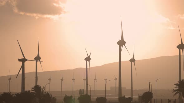 Wind Turbines at Sunset in Canary Islands