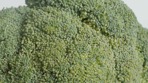 Close-up of edible green broccoli Brassica oleracea 4K tilting footage