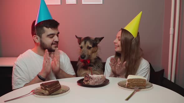 Dog's Birthday