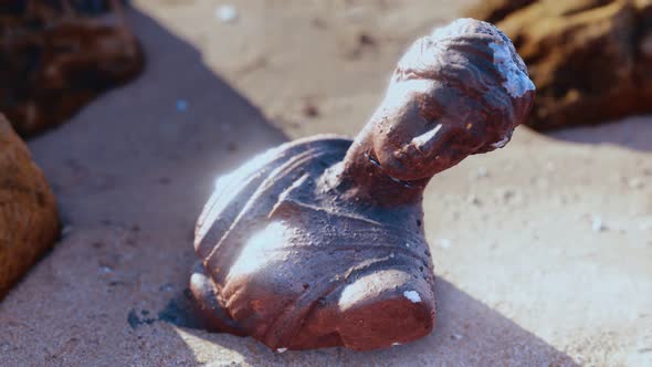 Ancient Woman Bust at Sand Beach