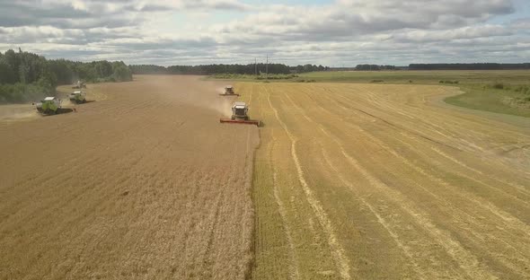 Aerial Panorama Harvesting of Wheat with Reaper Threshers