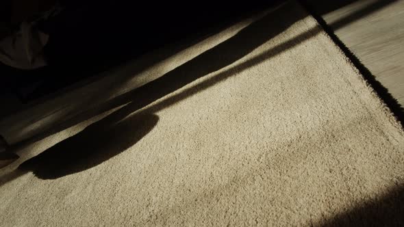 Shadow of Man Minting a Soccer Ball Closeup of Professional Football Player Training in the Living