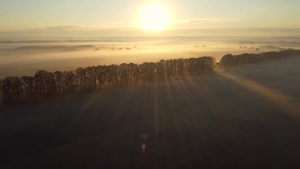 Morning autumn fog over fields and forest belt. Long shadows from the morning sun in the fog.