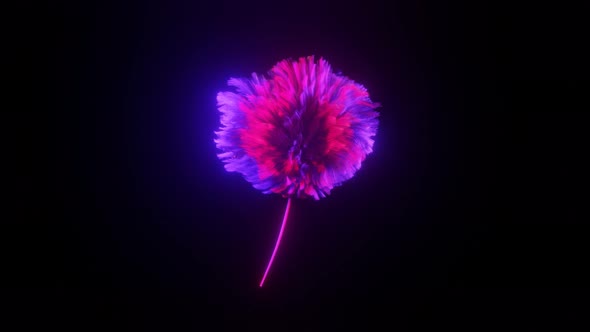 3D Flower Motion