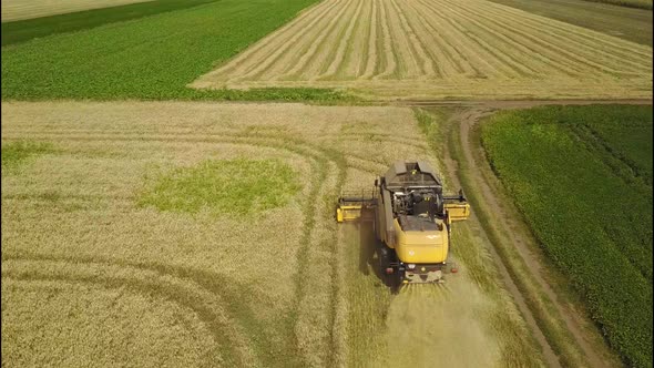 Combine Harvester Harvests Ripe Wheat