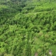 Aerial view of an isolated settlement and forest on a high hill - VideoHive Item for Sale