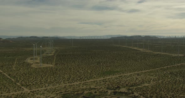 Aerial helicopter shot, track bull moose through the trees in snowy barren forest with pines, drone 