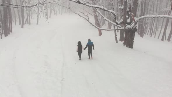 Couple Walks In Snowy Forest Wonderland