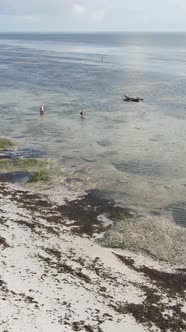 Vertical Video of Low Tide in the Ocean Near the Coast of Zanzibar Tanzania