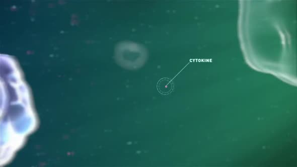 Cytokine - amino acid that allows cells to communicate with each other