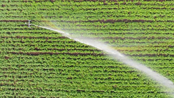 Agriculural Concept. Aerial - Automatically Irrigation System.