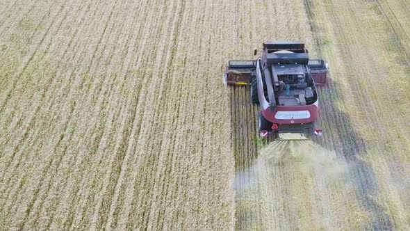 Aerial View of Modern Combine Harvesting Wheat on the Field. Flying Directly Above Combine. Top View