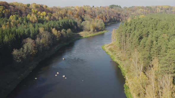 River Flow in Autumn Fall Season