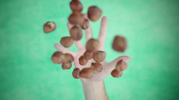 Hand Throws Up Handful of Chestnuts at Studio Backdrop