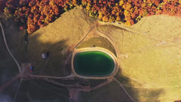 Aerial View of Artificial Lake in Mountain Pine Forest Colored of Autumn Colorsdirty Roadflying