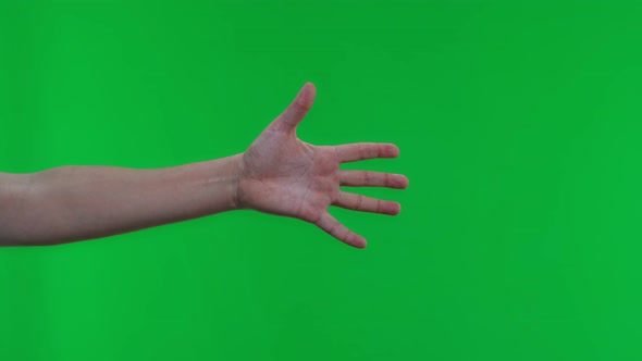 Close Up of Isolated on Green Background Adult Female Hand Counting From 0 to 5