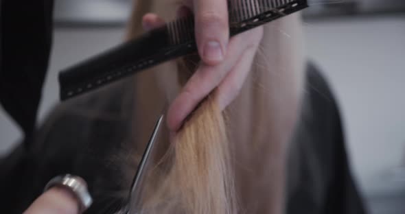 Hairdresser Cutting Young Blond Woman'S Hair